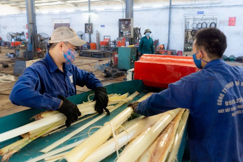 バナナ繊維抽出機 ⓒ Vietnam Net バナナ繊維抽出機 ⓒ Vietnam Net